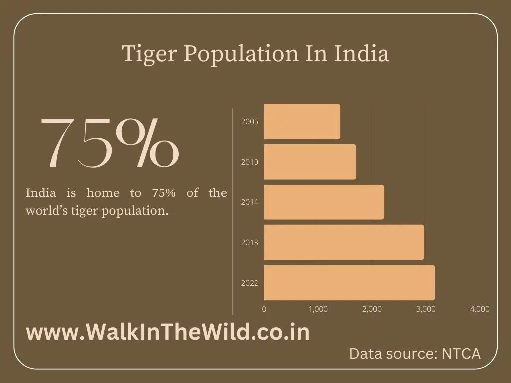 tiger census in india